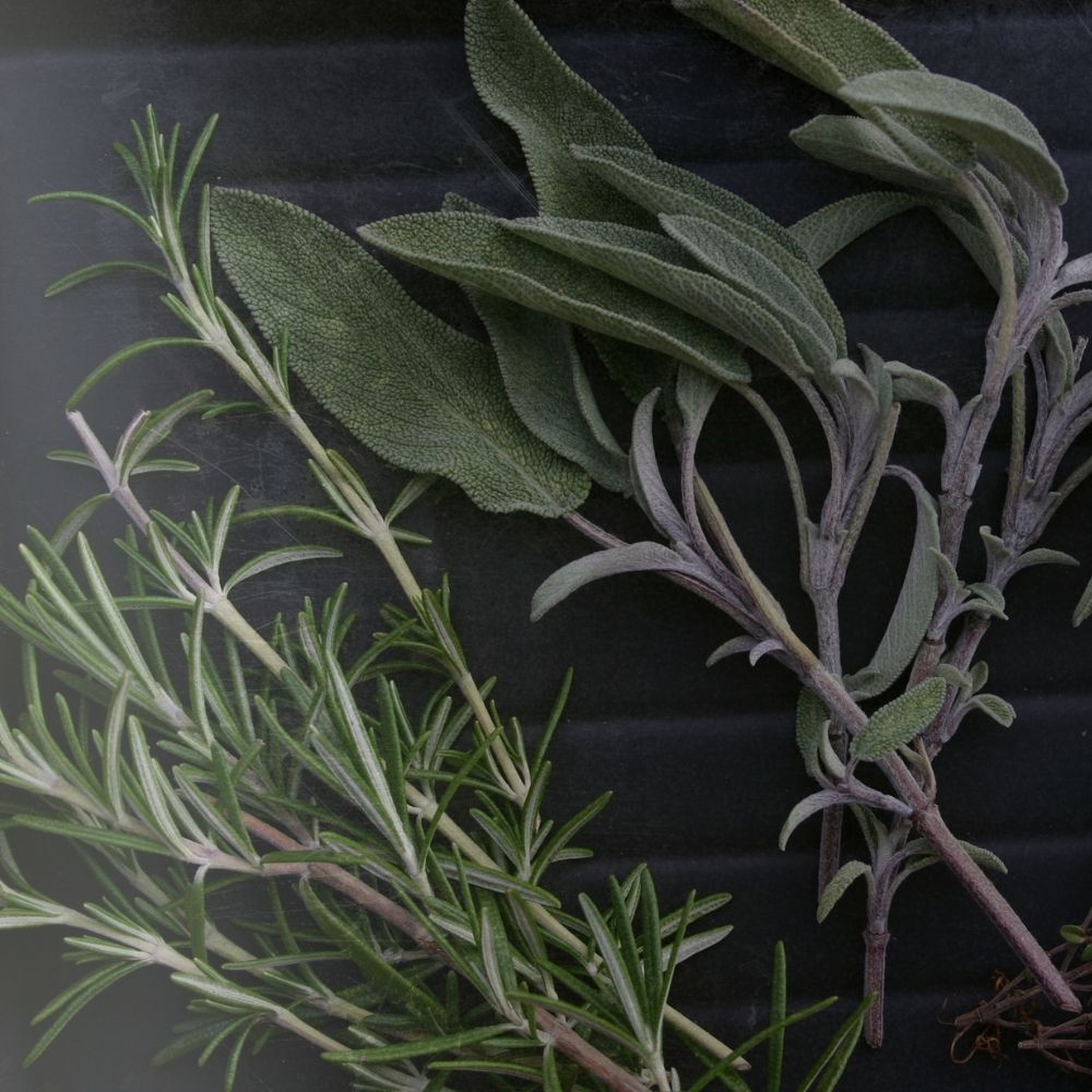 Rosemary and sage herbs are also good for hair health
