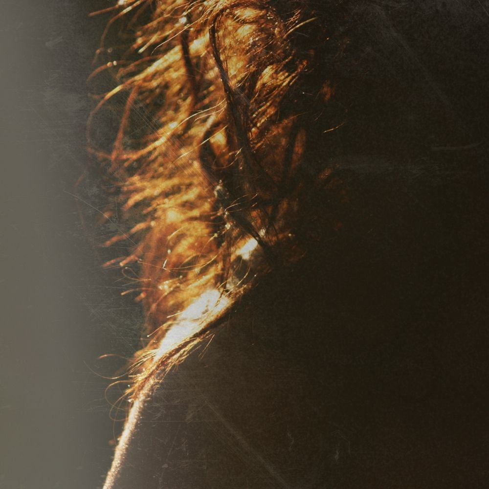 a dark image of a lady with dark curly hair only her shoulder and some of her hair can be seed the image is dark by is sunlit from behind casting shadows this image is used to show how apple cider vinegar with the mother in it can be used as a hair rinse for healthy hair