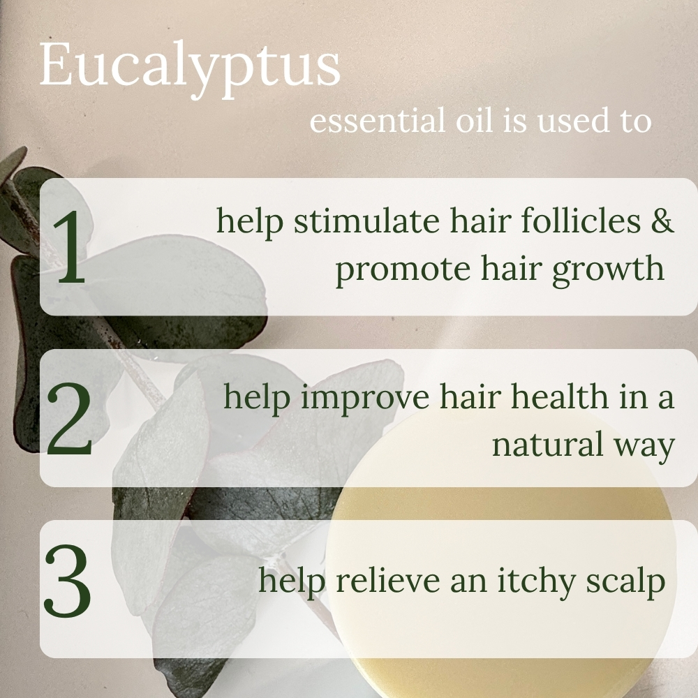 Picture of our solid shampoo bar with some Eucalyptus laves . with the words giving 3 reasons why eucalyptus essential oil is used in the making of our solid shampoo bar