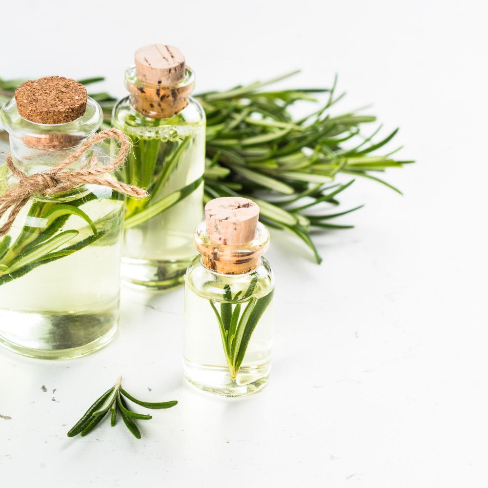Rosemary Essential Oil