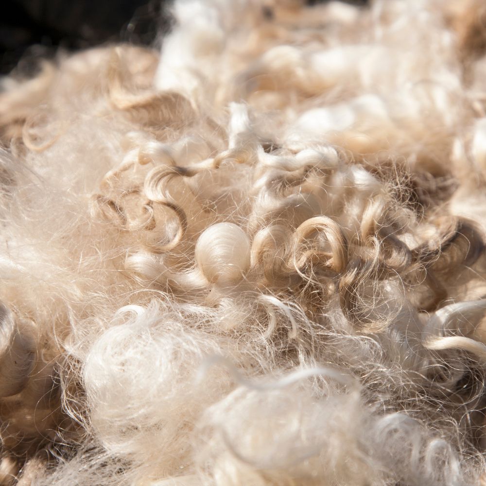 Wool fleece a sustainable fabric of the future