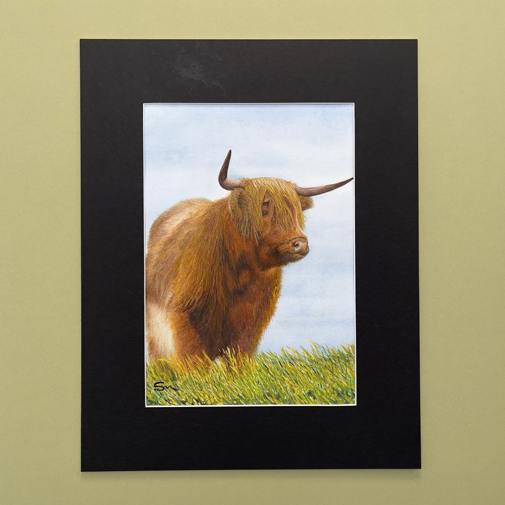 Ginger Highlander: Portrait of a Highland Cow a watercolour painting of a typical highland cow