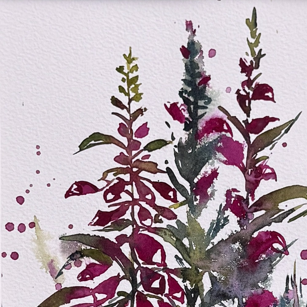 Wild Foxgloves of Glen Urquhart Scottish Watercolour Painting