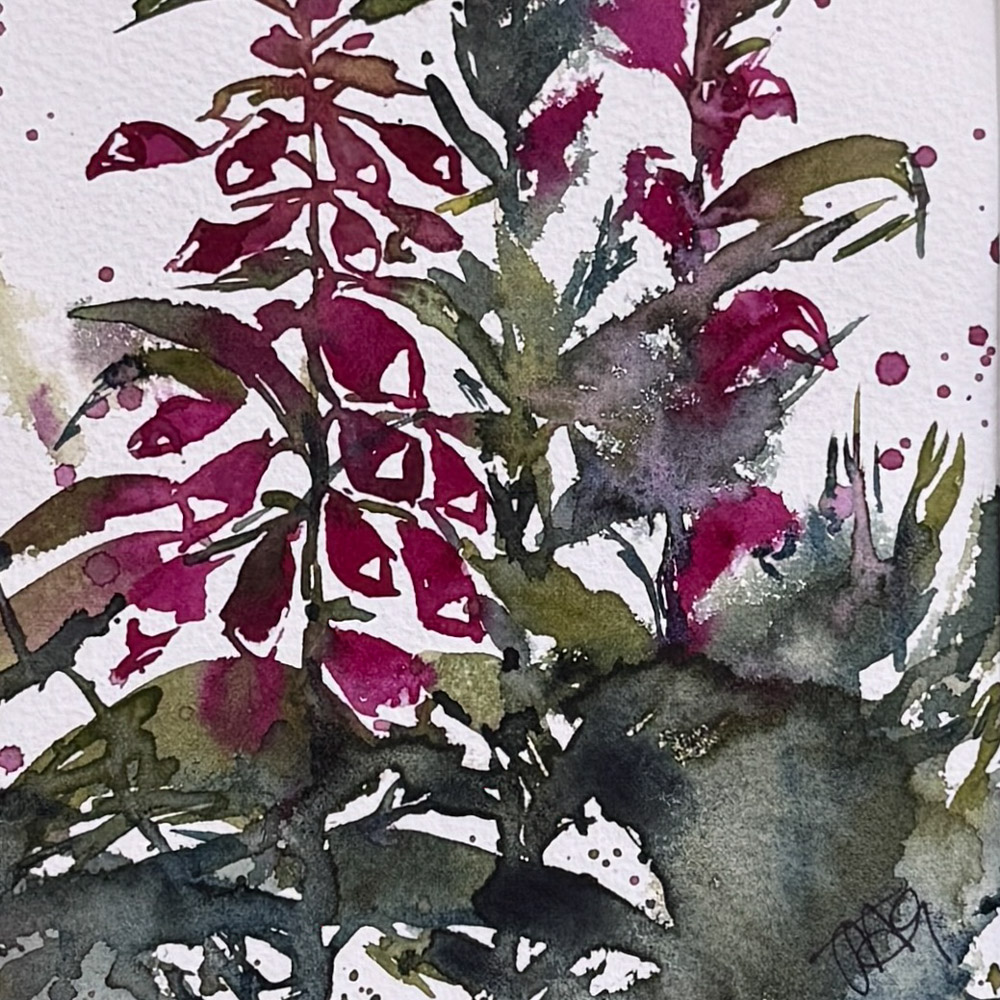 Wild Foxgloves of Glen Urquhart Scottish Watercolour Painting