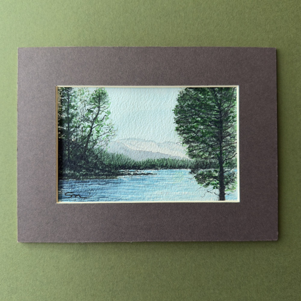 Summertime at loch beinn a'mheadhoin Glen Affric National Park Scotland
