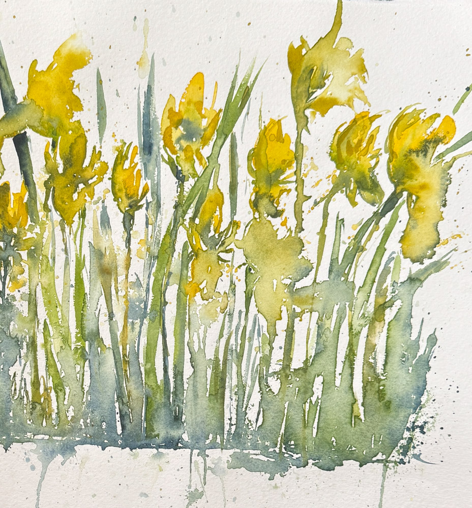 Iris Pseudacorus of the Western Isles