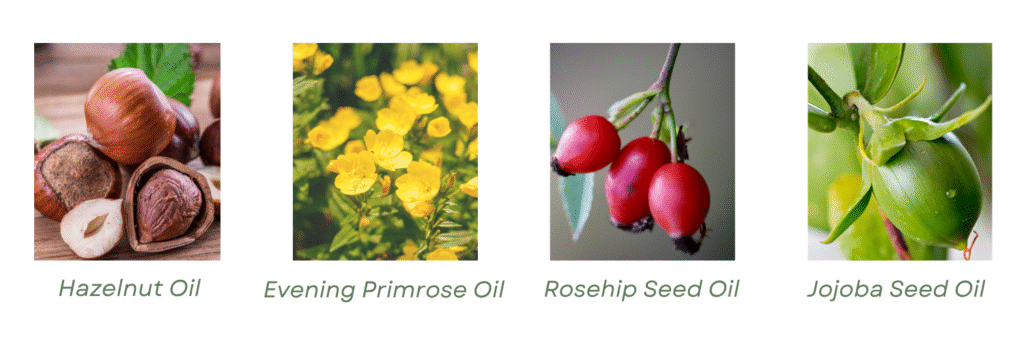 Key ingredients banner for Ola Ros skincare Hazelnut Oil Evening Primrose Oil Rosehip Seed Oil and Jojoba Seed Oil all organic oils in Balance - Oil Cleanser
