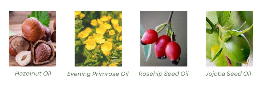 Key ingredients banner for Ola Ros skincare Hazelnut Oil Evening Primrose Oil Rosehip Seed Oil and Jojoba Seed Oil all organic oils in Balance - Oil Cleanser