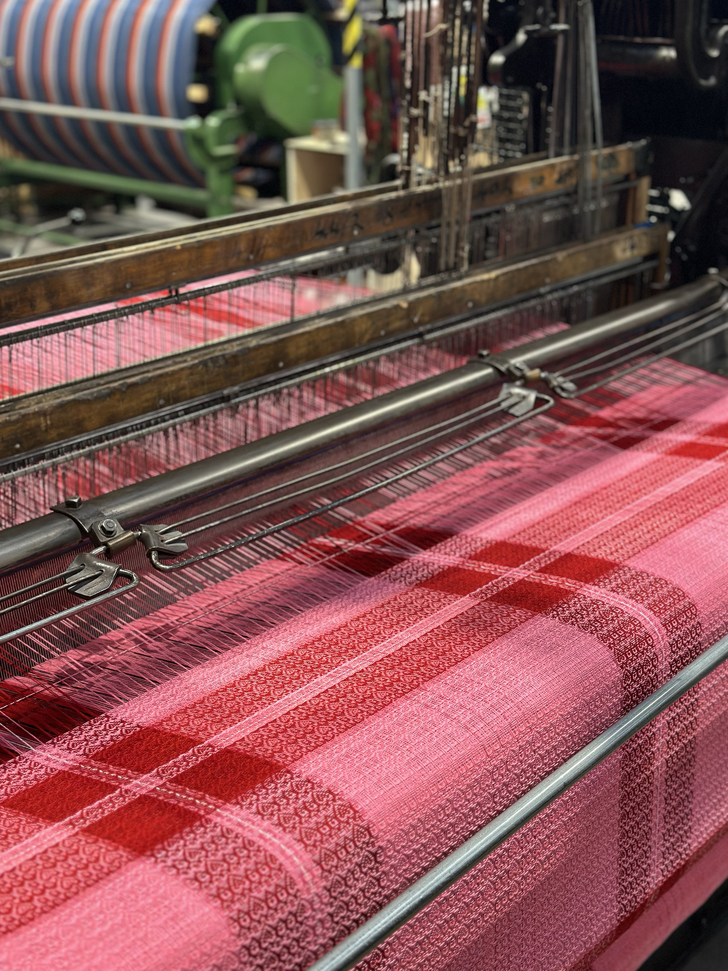 Prickly thistle tartan being made on a loom