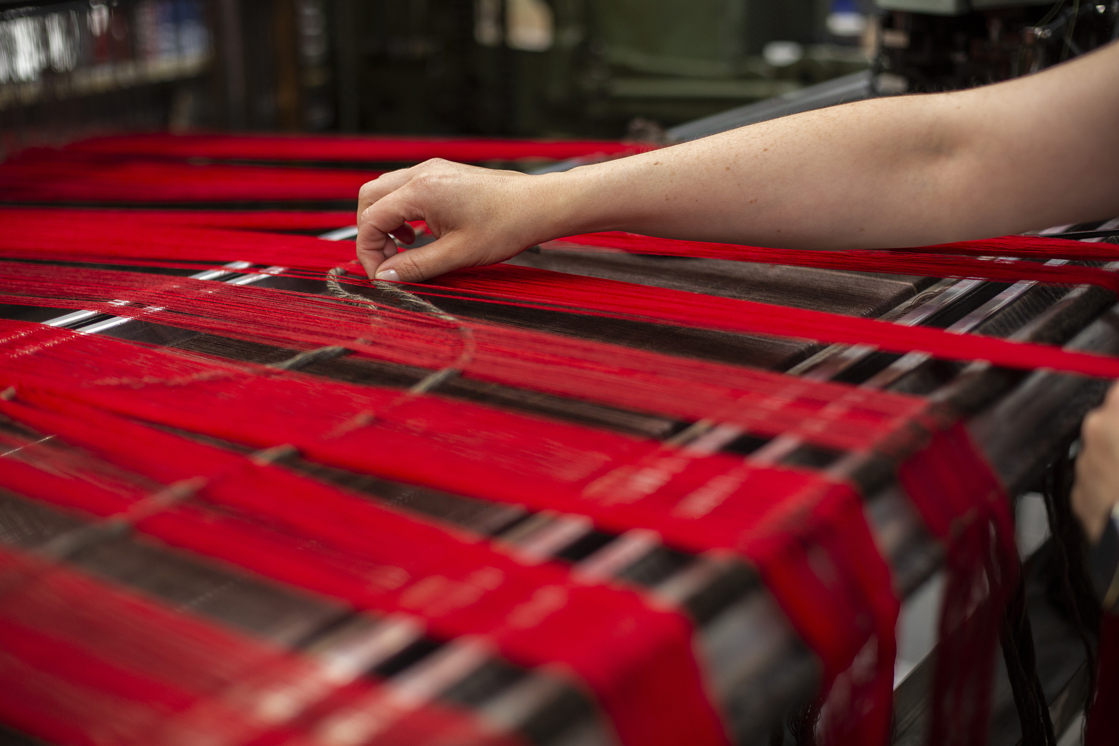 Prickly thistle tartan being made on a loom