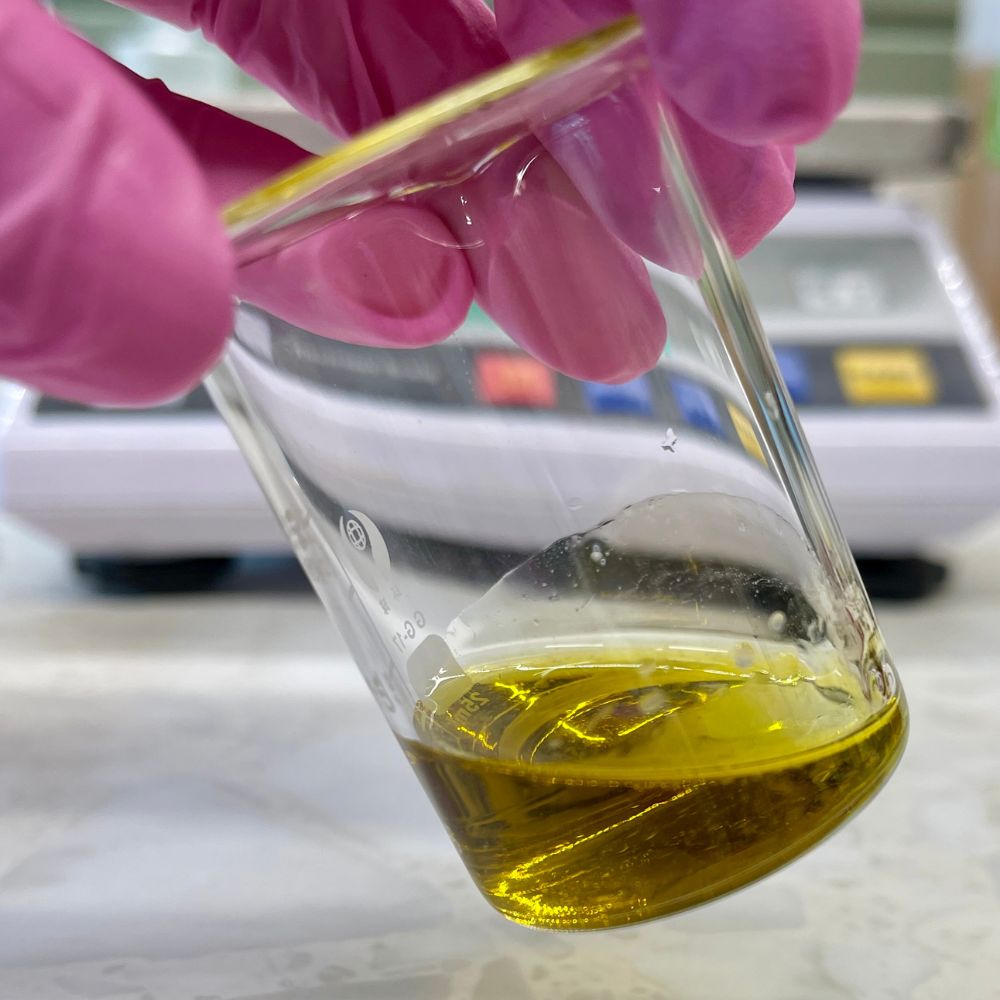 Scottish Ingredient Milk Thistle Extract in a lab beaker